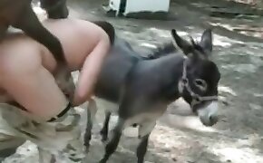 bc6 bet - donkey, videos with beastiality